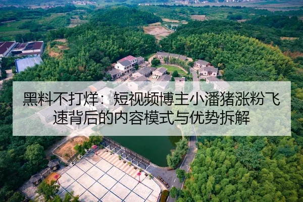 黑料不打烊：短视频博主小潘猪涨粉飞速背后的内容模式与优势拆解